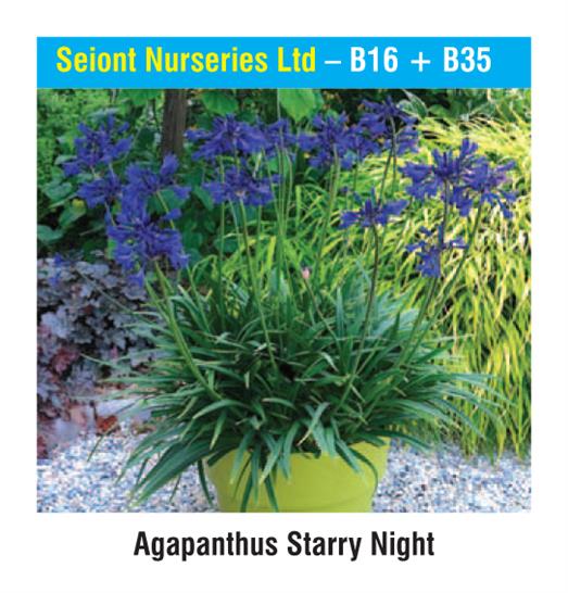 Seiont Nurseries Ltd